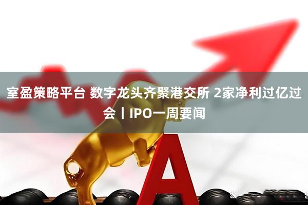室盈策略平台 数字龙头齐聚港交所 2家净利过亿过会丨IPO一周要闻