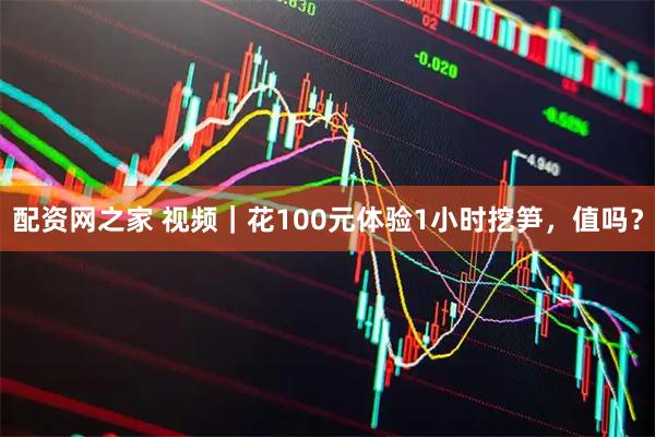 配资网之家 视频｜花100元体验1小时挖笋，值吗？
