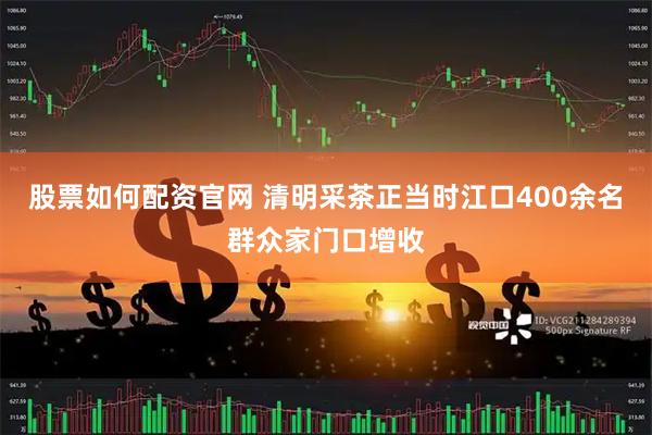 股票如何配资官网 清明采茶正当时江口400余名群众家门口增收