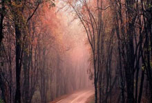 手机上交易股票:股票开户好了怎么买-习近平同俄罗斯总统普京会谈